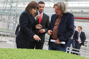 Werkbezoek Ploumen en El Mokaddem aan Koppert Cress